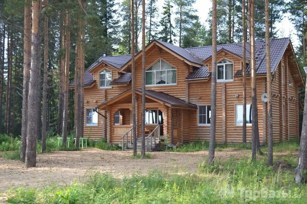 Гостевой дом среди сосен летом